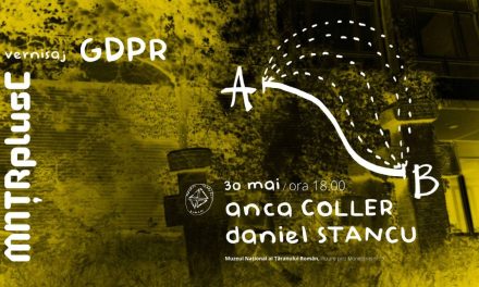 A…B , GDPR – final de rezidență artistică Anca Coller și Daniel Stancu @MNȚRplusC 