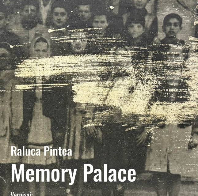 Expo Maraton 2026, ediția a XIV-a: Georgiana-Elena Popa „RE_CALL”, Anamaria Cătuna „Memories that not Even My Pills can Erase”, Raluca Pintea „Memory Palace” @ Galeria Casa Matei, Cluj-Napoca