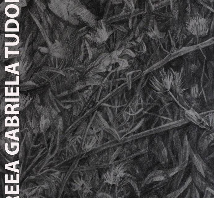 Expoziție Andreea Gabriela Tudor „Fragmente dintr-un câmp mut” @ Galleria 28 din Timișoara