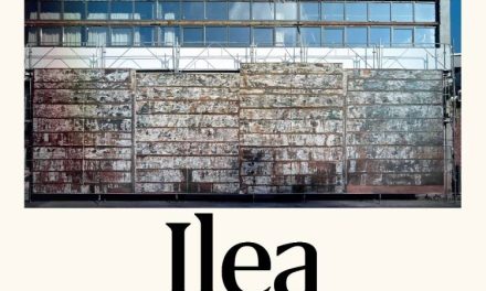 Expoziție Gheorghe Ilea „Poarta” @ Conector, Cluj-Napoca