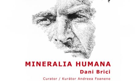 Expoziție personală Daniel Brici „Mineralia Humana – Memoria chipurilor” @ Galeria Új Kriterion, Miercurea Ciuc