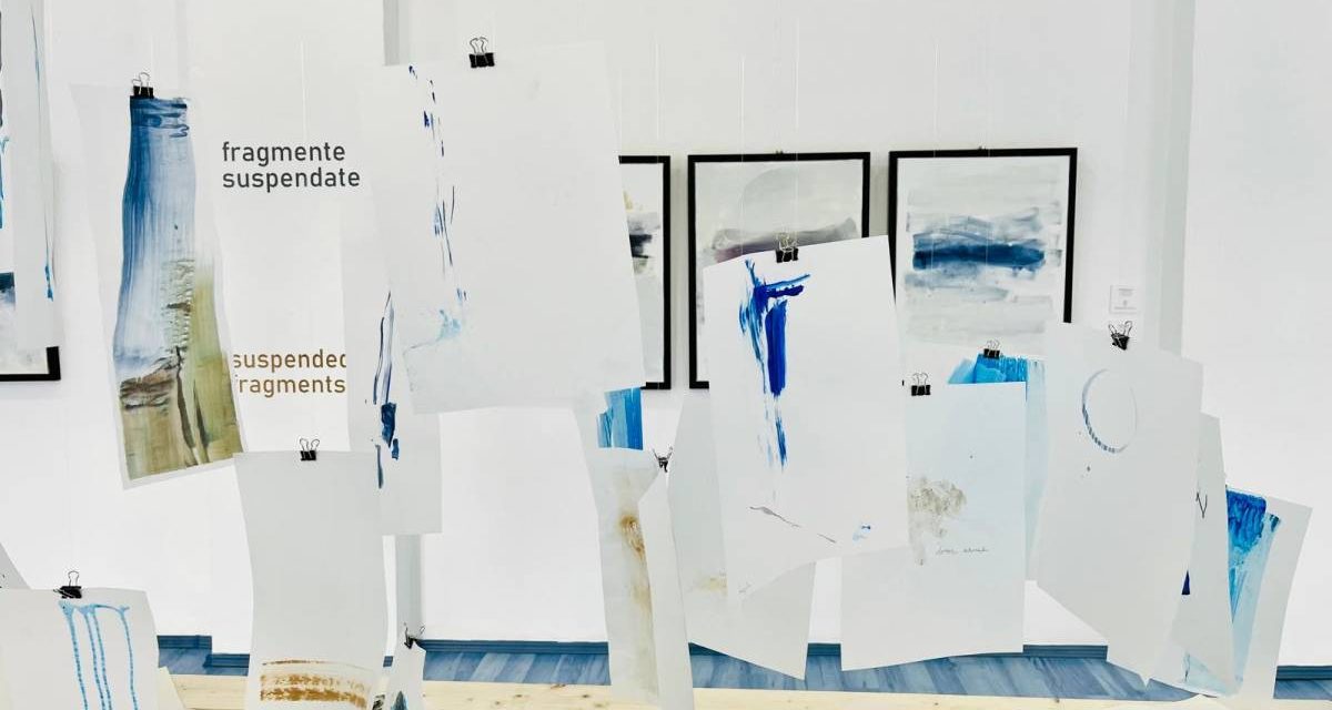Expoziție personală Georgiana Cotuțiu „Sedimental” @ Complexul Muzeal Județean Bistrița-Năsăud