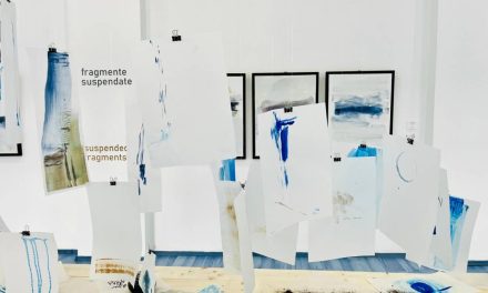 Expoziție personală Georgiana Cotuțiu „Sedimental” @ Complexul Muzeal Județean Bistrița-Năsăud