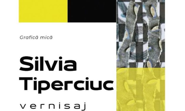 Expoziție Silvia Tiperciuc „Grafică mică” @ Galeria „Nouă” (Galeriile „Ion Frunzetti”), Bacău
