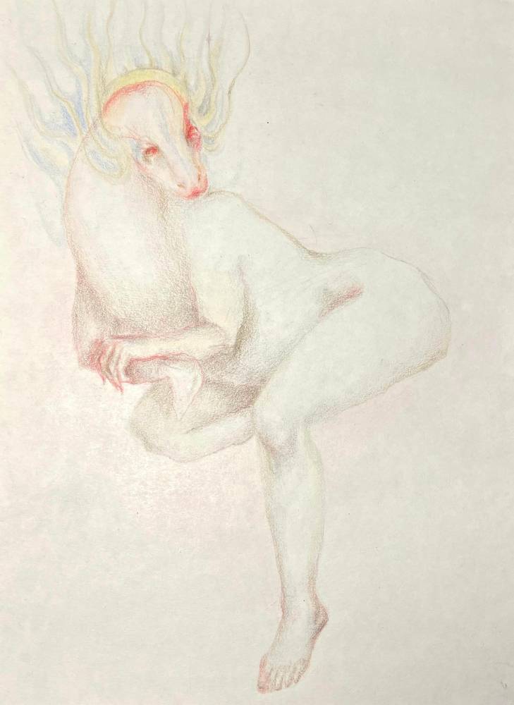 Miruna Radovici, Tournir, 2025, colored pencil on paper, 28,5 x 21 cm, courtesy of Posibilă Gallery