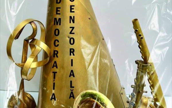 Expoziție Wanda Mihuleac „Democrația senzorială” @ Muzeul de Artă Craiova, Centrul „Constantin Brâncuși”