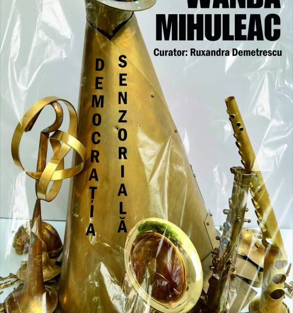Expoziție Wanda Mihuleac „Democrația senzorială” @ Muzeul de Artă Craiova, Centrul „Constantin Brâncuși”
