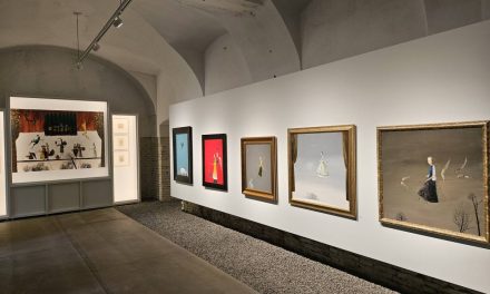 „Transilvania | Extravaganza” – expoziție Ștefan Câlția la Sibiu