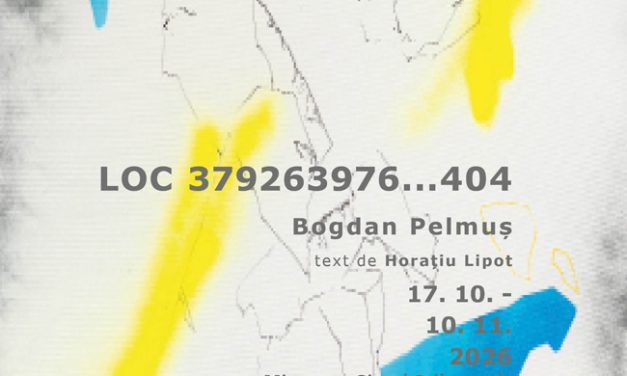 Expoziție Bogdan Pelmuș „LOC 379263976…404” @ Galeria Új Kriterion, Miercurea Ciuc